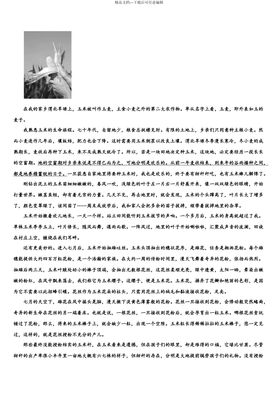 内蒙古锡林浩特市第六中学高考适应性考试语文试卷含解析_第3页