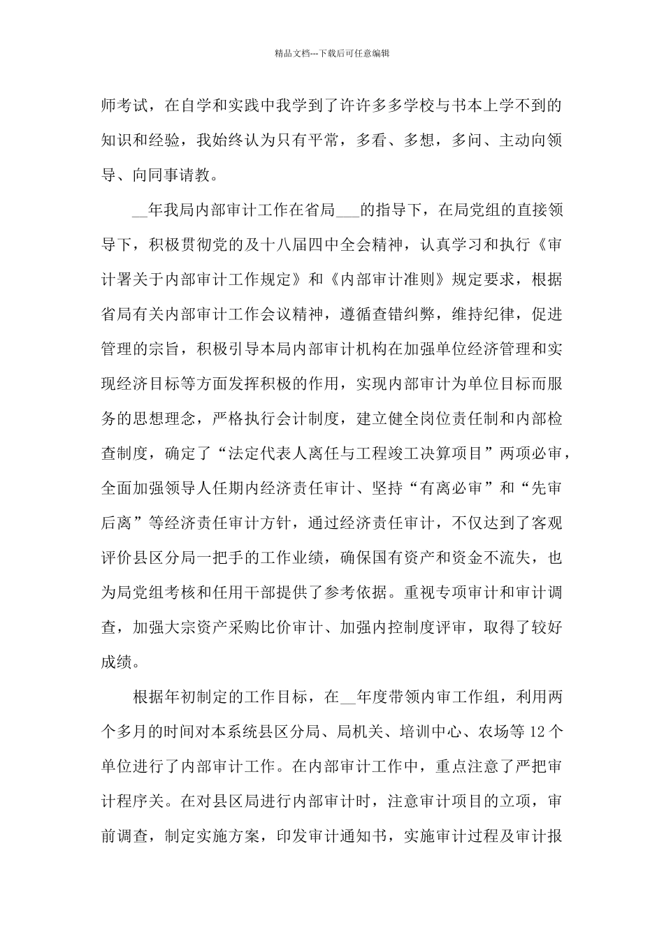 内部审计工作总结模板_第2页