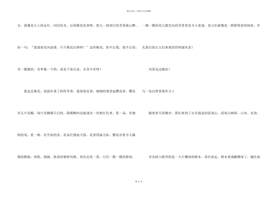 写一处自然景观_第3页