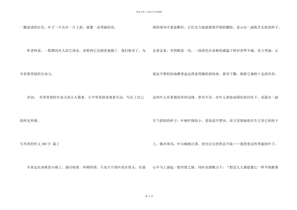 写冬青的300字集锦七篇_第2页
