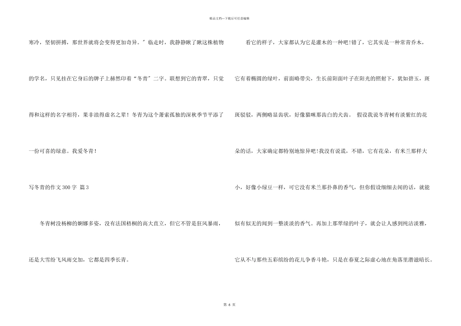 写冬青的300字集锦七篇_第3页