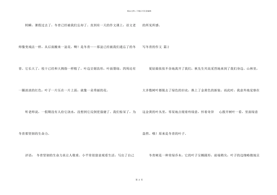 写冬青的集合八篇_第2页