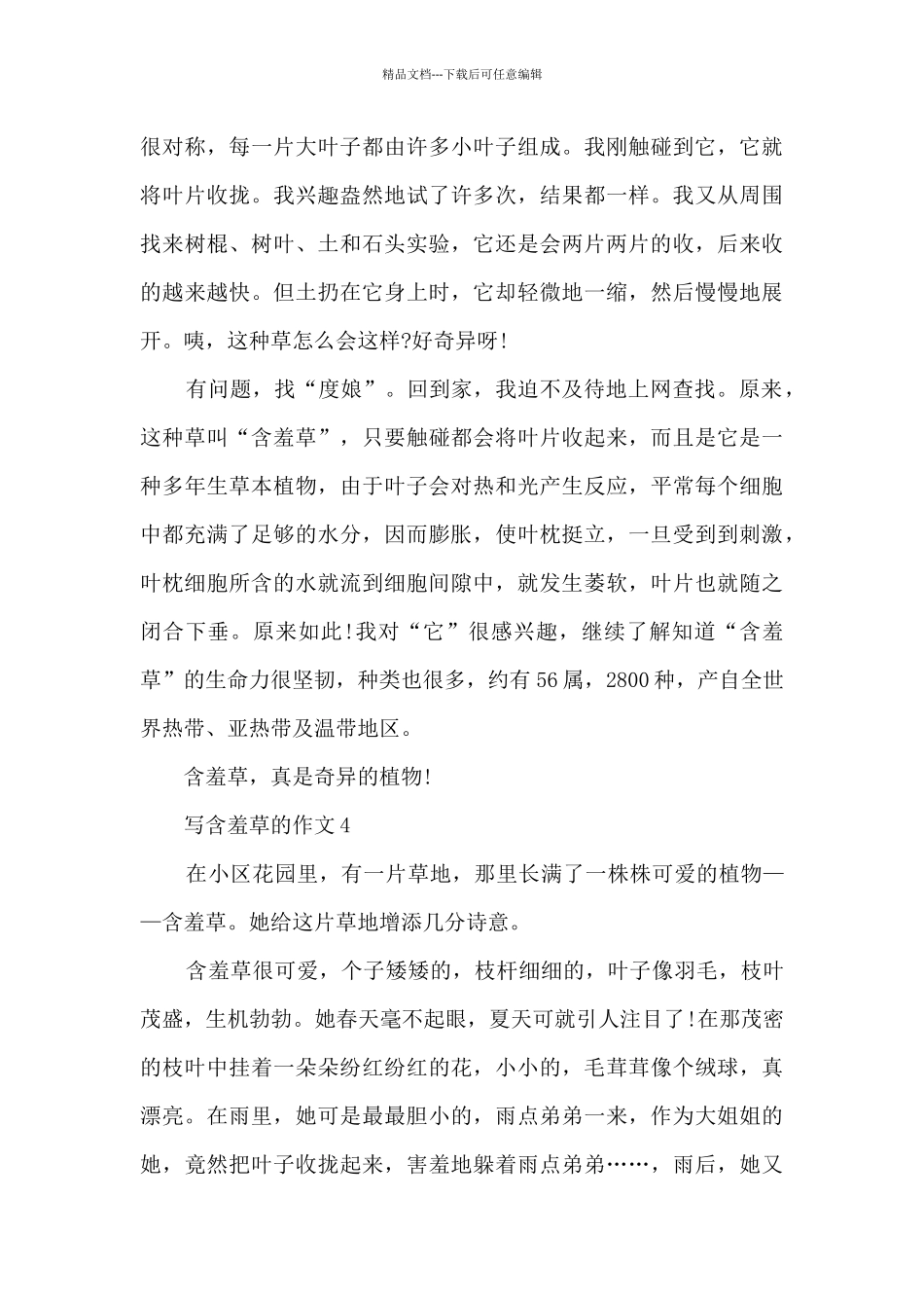 写含羞草的作文范文10篇_第3页