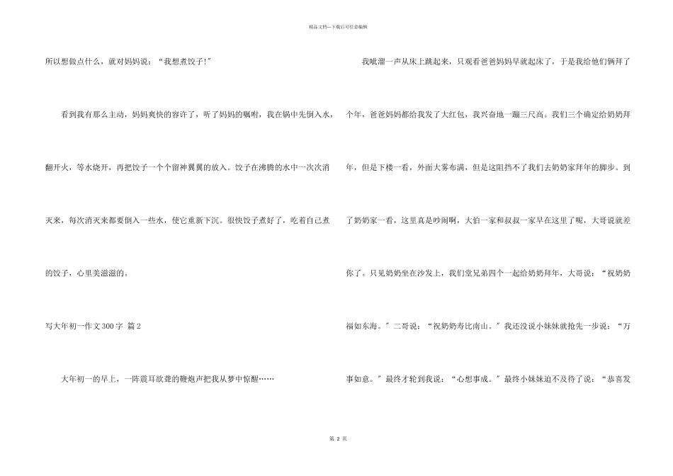 写大年初一300字集锦八篇_第2页