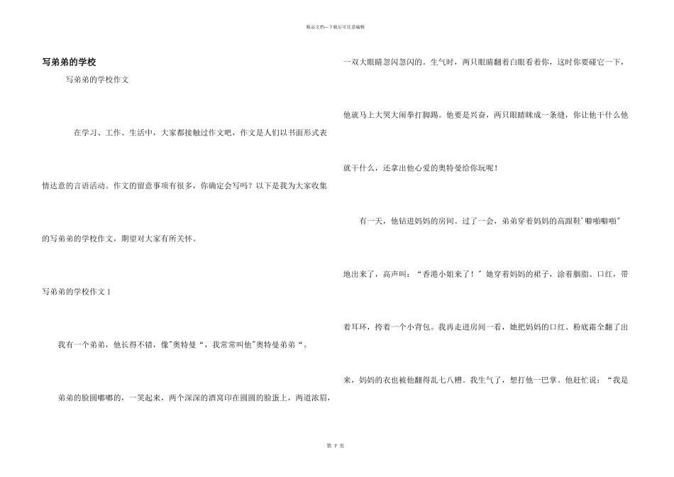 写弟弟的小学_第1页