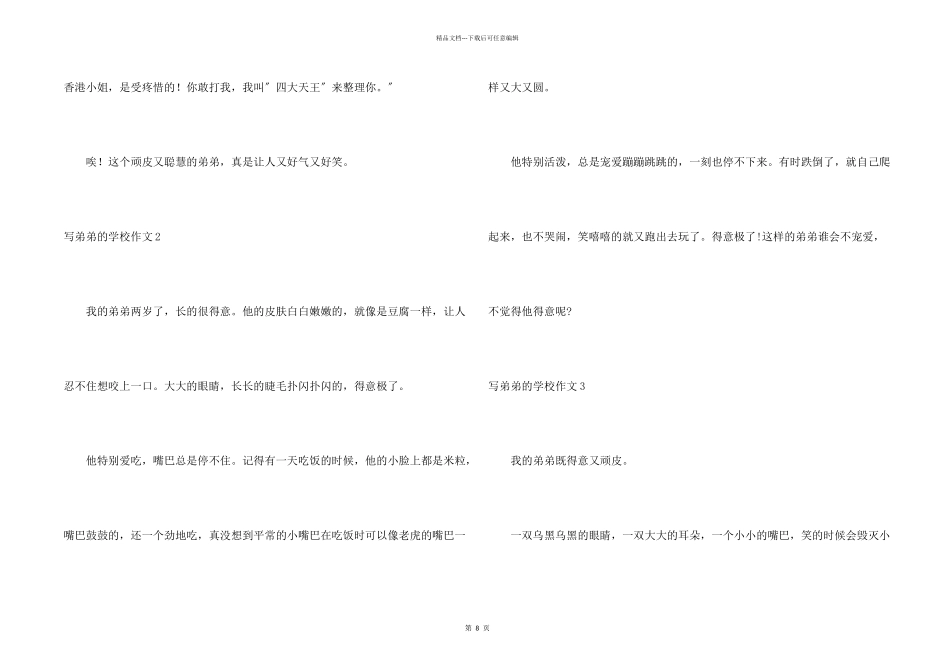 写弟弟的小学_第2页