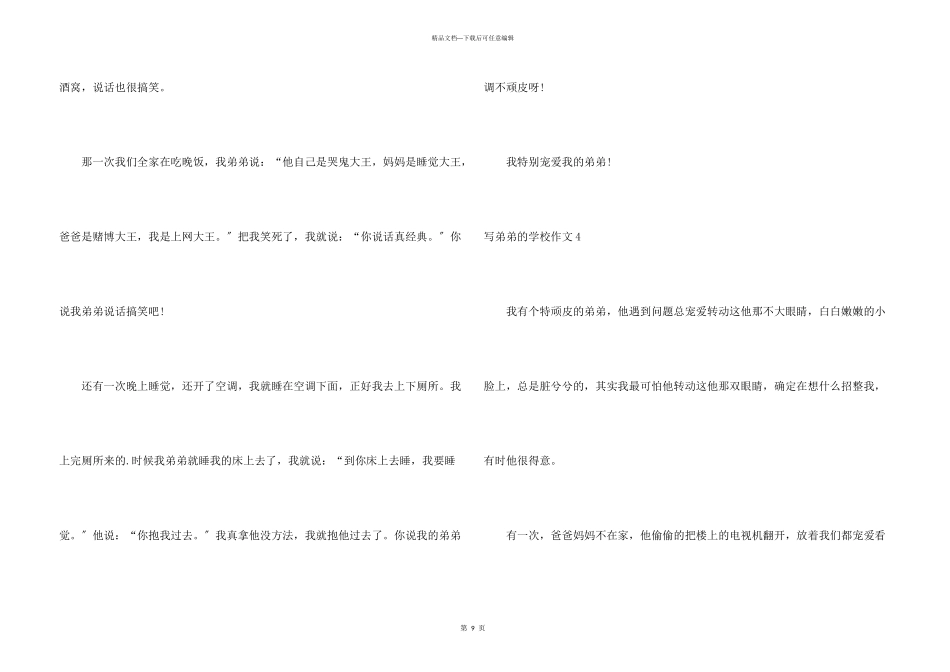 写弟弟的小学_第3页