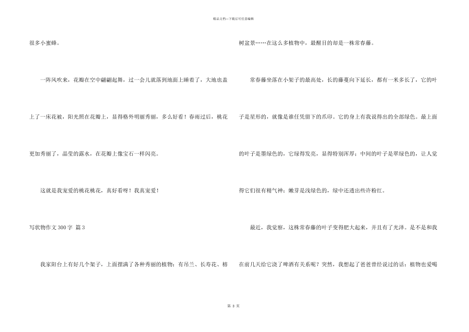 写状物300字集合5篇_第3页