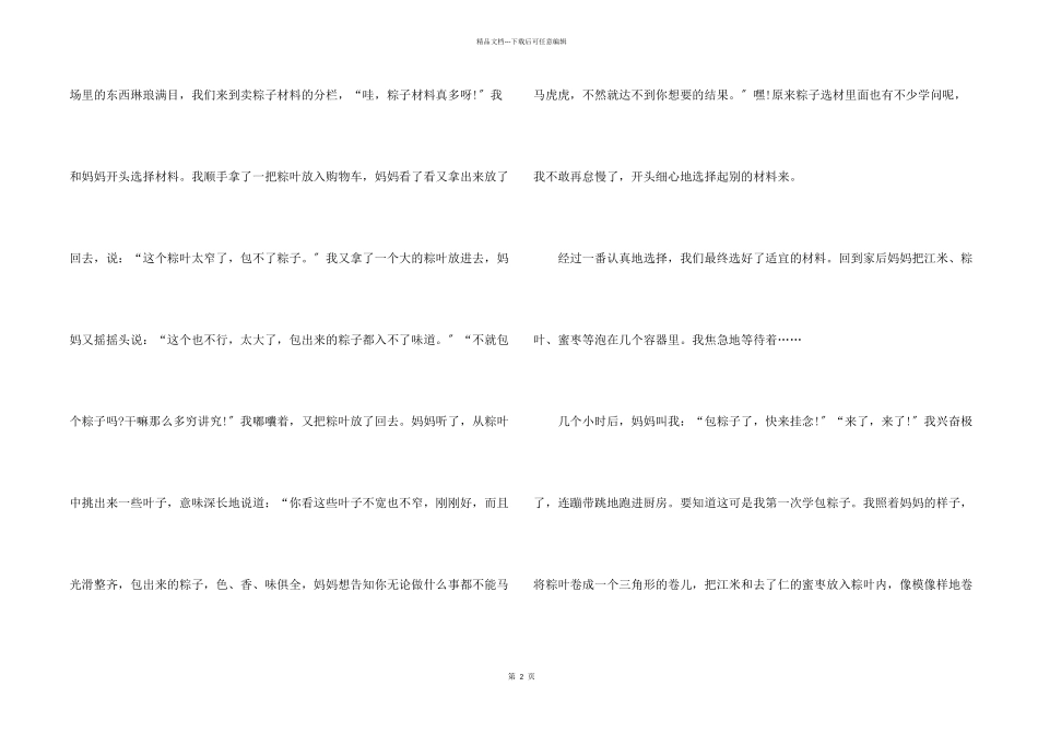 写端午节的600字合集10篇_第2页
