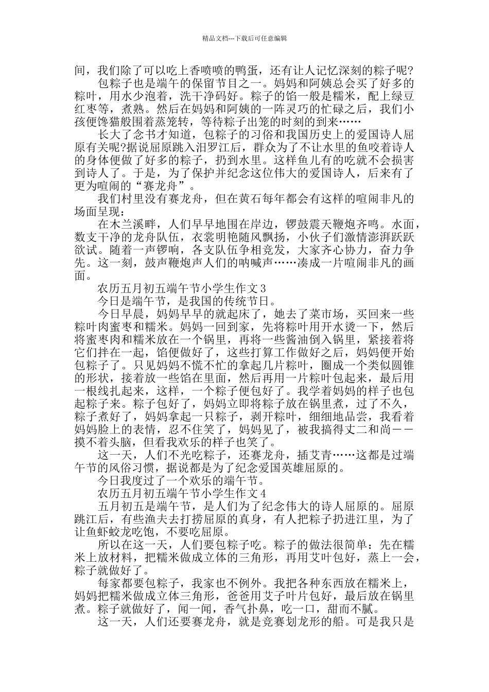 农历五月初五端午节小学生作文5篇精选_第2页