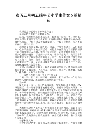 农历五月初五端午节小学生作文5篇精选