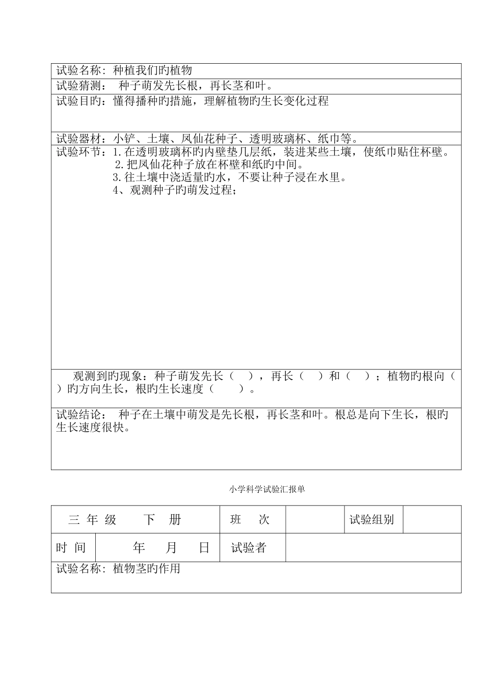 2025年教科版小学三年级科学下册全册实验报告单_第2页