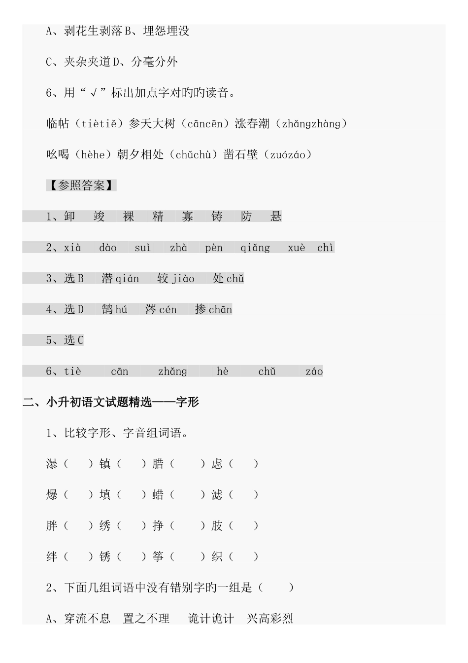 2025年小升初语文总复习资料_第2页