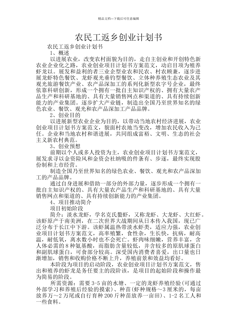 农民工返乡创业计划书_第1页