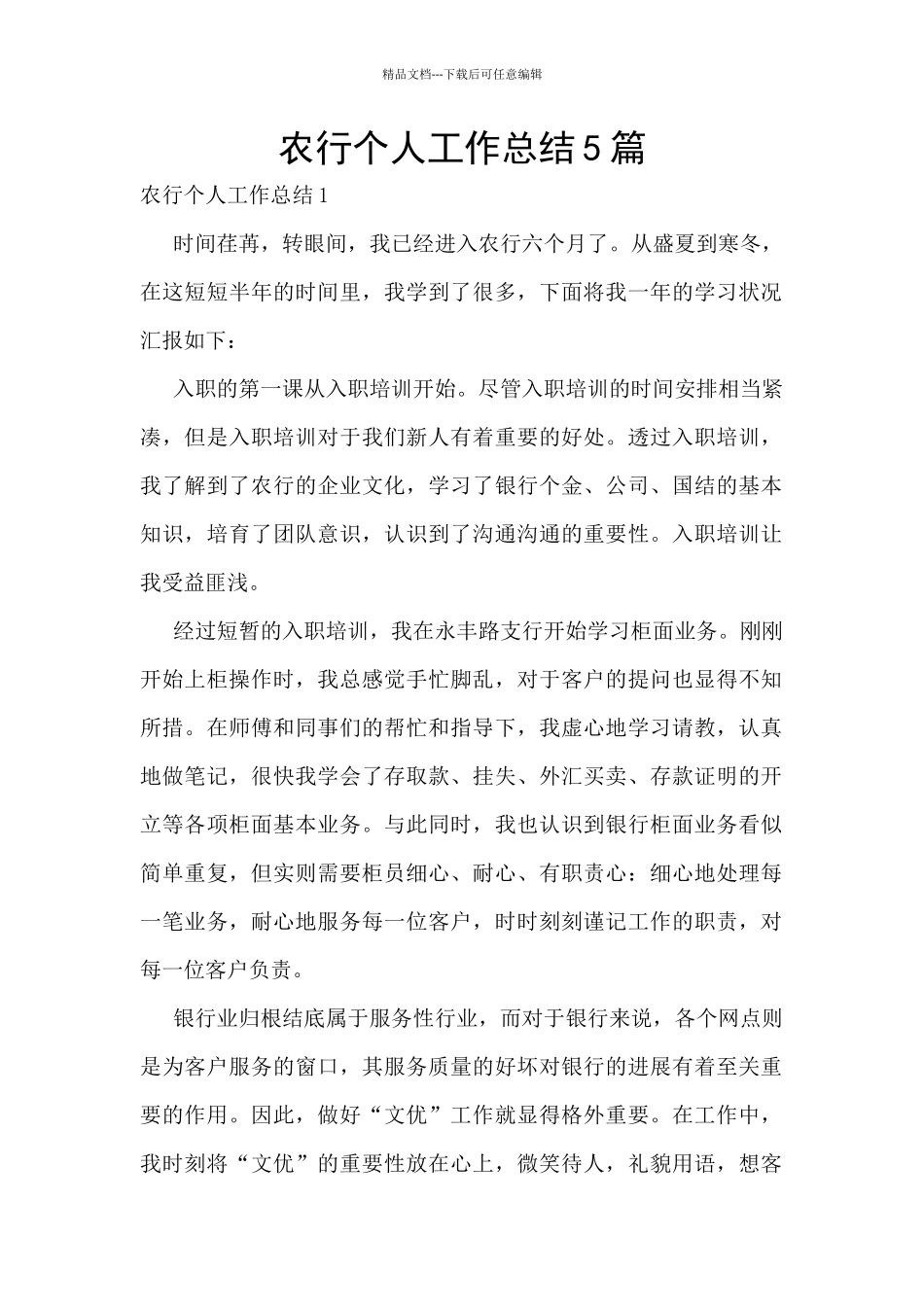 农行个人工作总结5篇_第1页