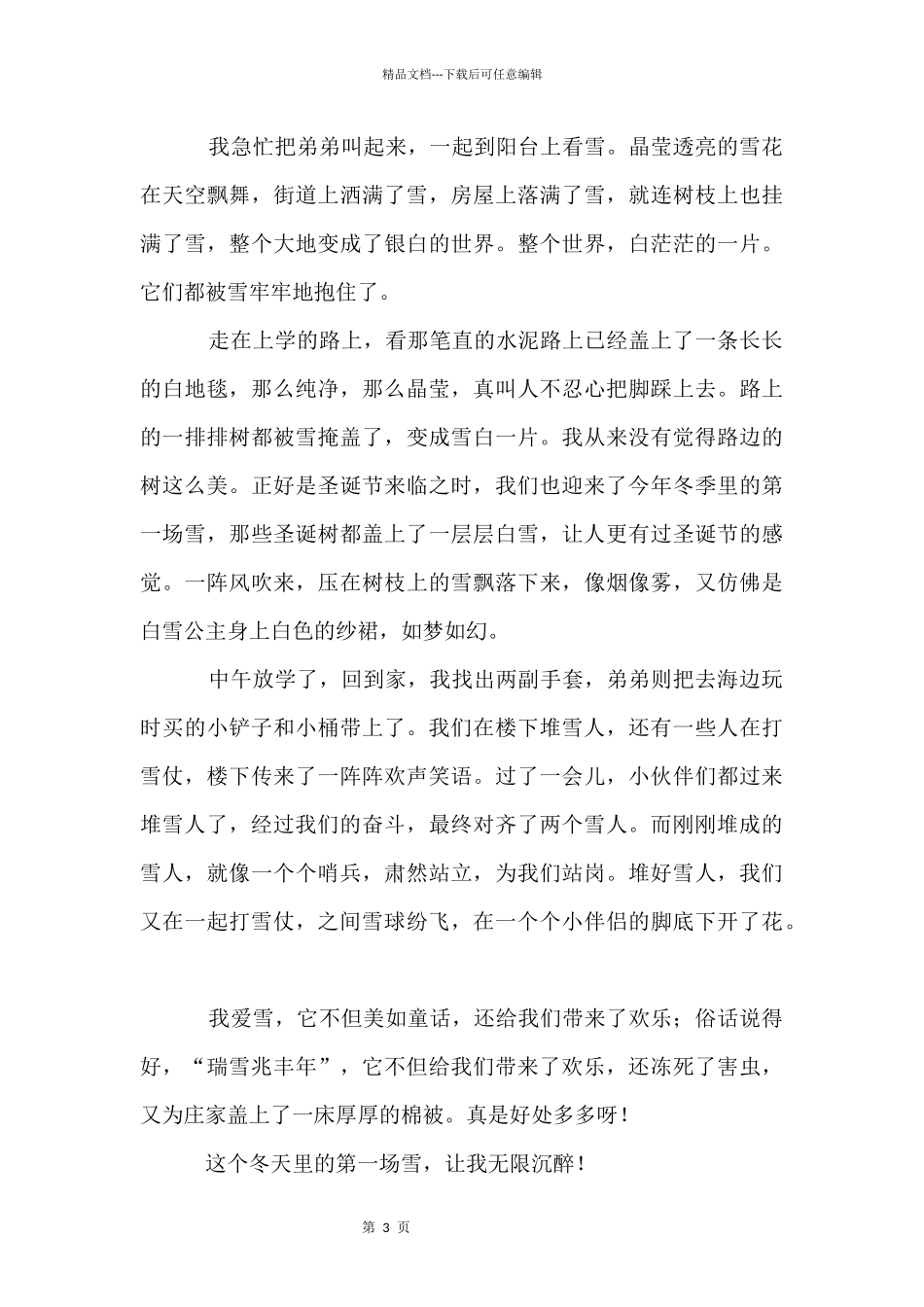 冬天的第一场雪_第3页