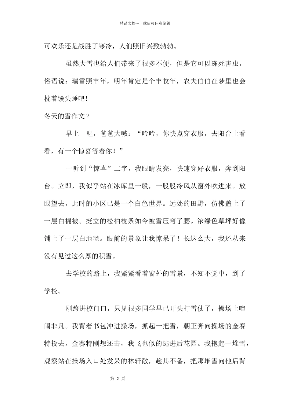 冬天的雪作文(15篇)_第2页