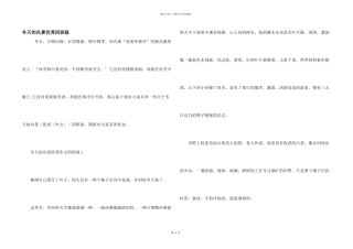 冬天的风景优秀四年级