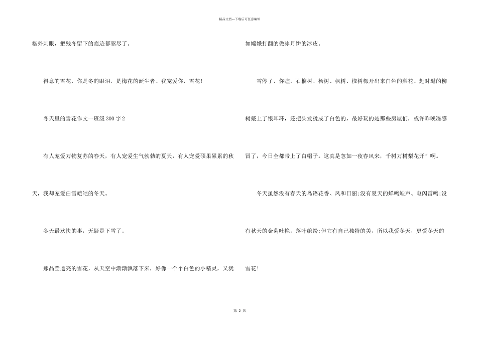 冬天里的雪花一年级300字_第2页