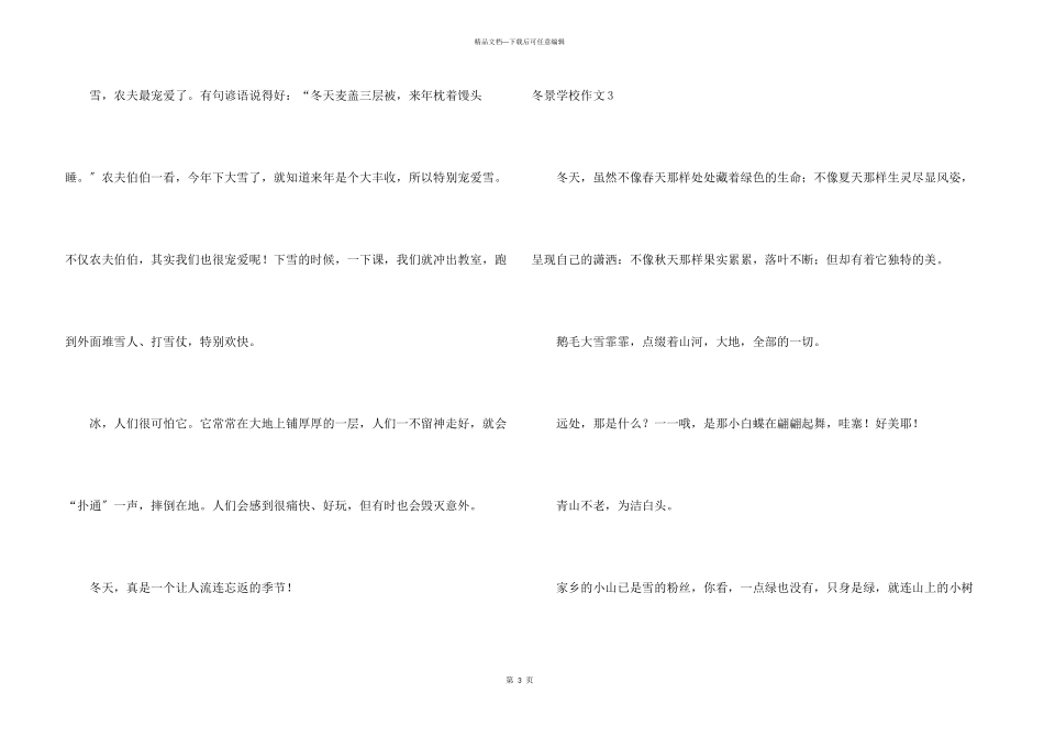 冬景小学合集10篇_第3页