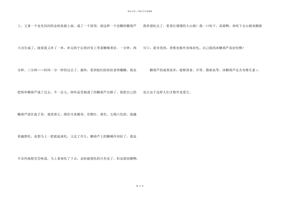 冰糖葫芦说明文_第3页