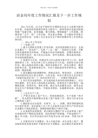 冶金局年度工作情况汇报及下一步工作规划
