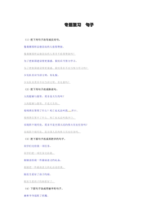 2025年小升初语文专项复习句子习题