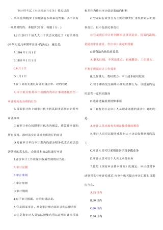 2025年审计师考试审计理论与实务模拟试题