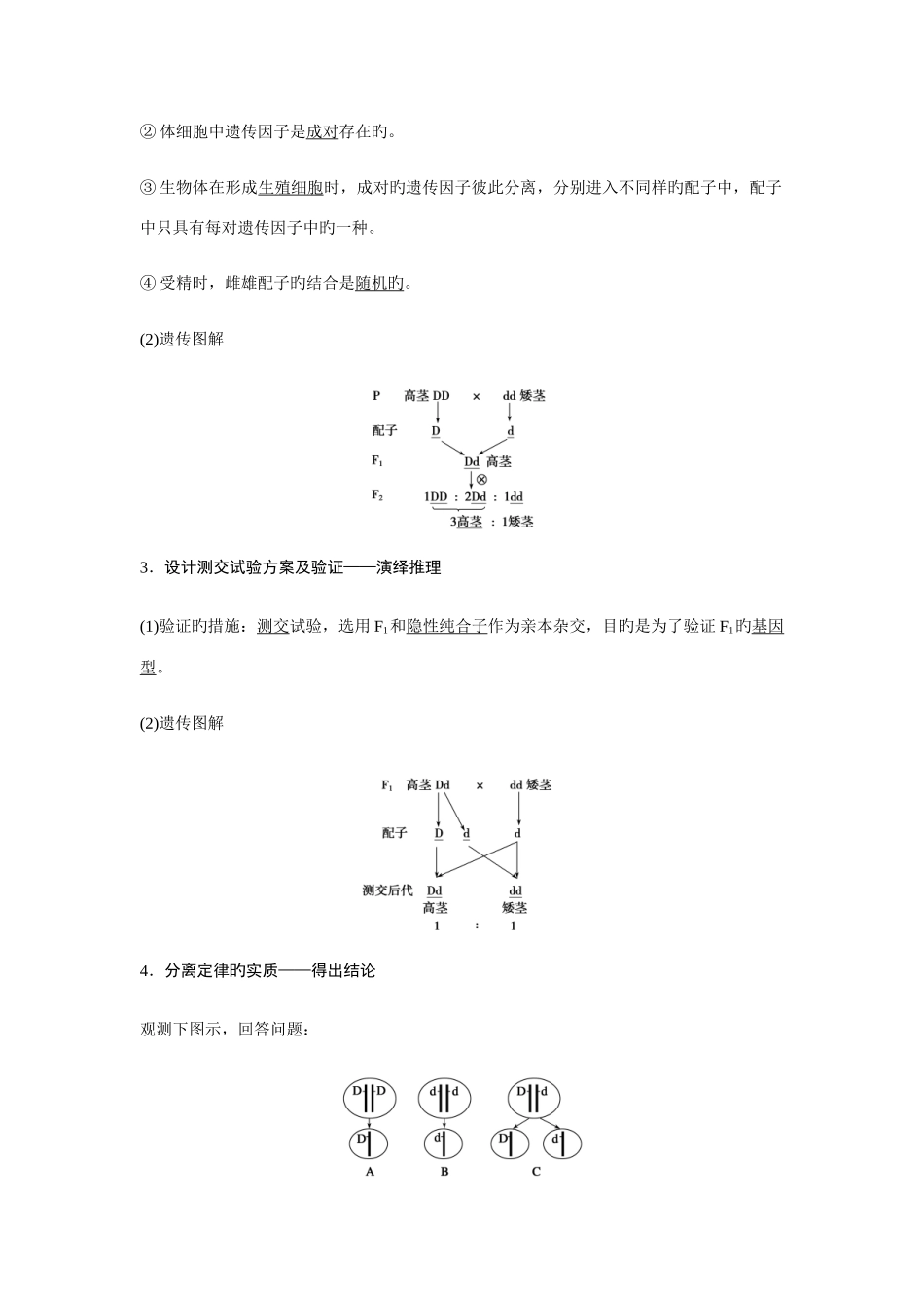 2025年生物必修二基因的分离定律知识点知识总结基础梳理_第2页