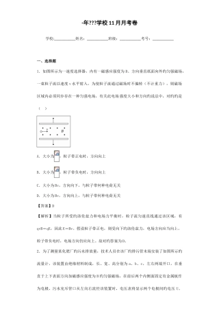 2025年洛伦兹力题库