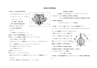 2025年济南版八年级生物上册知识点