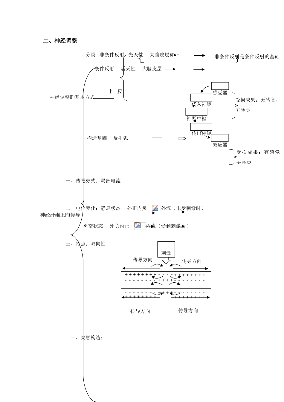 2025年生物必修三稳态与调节知识点总结_第2页