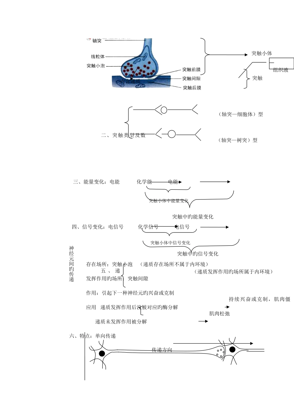 2025年生物必修三稳态与调节知识点总结_第3页