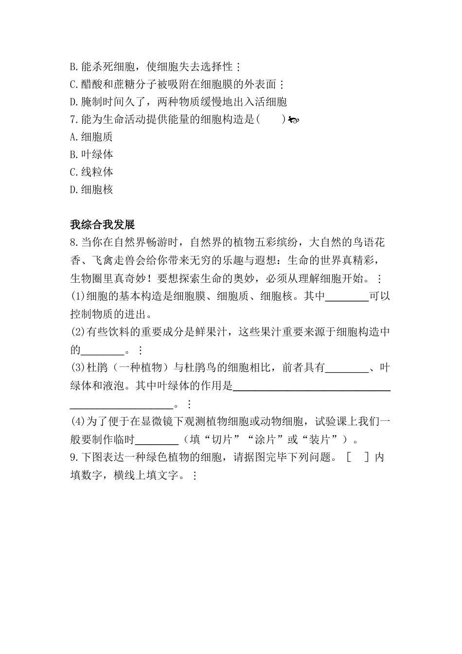 2025年七年级生物上册知识点同步练习题_第2页