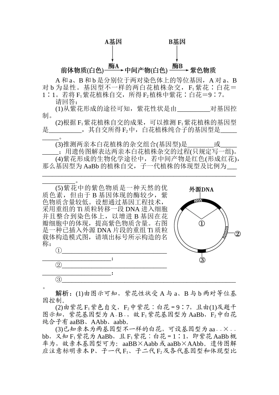 2025年高三生物第一轮知识点优化复习题_第3页