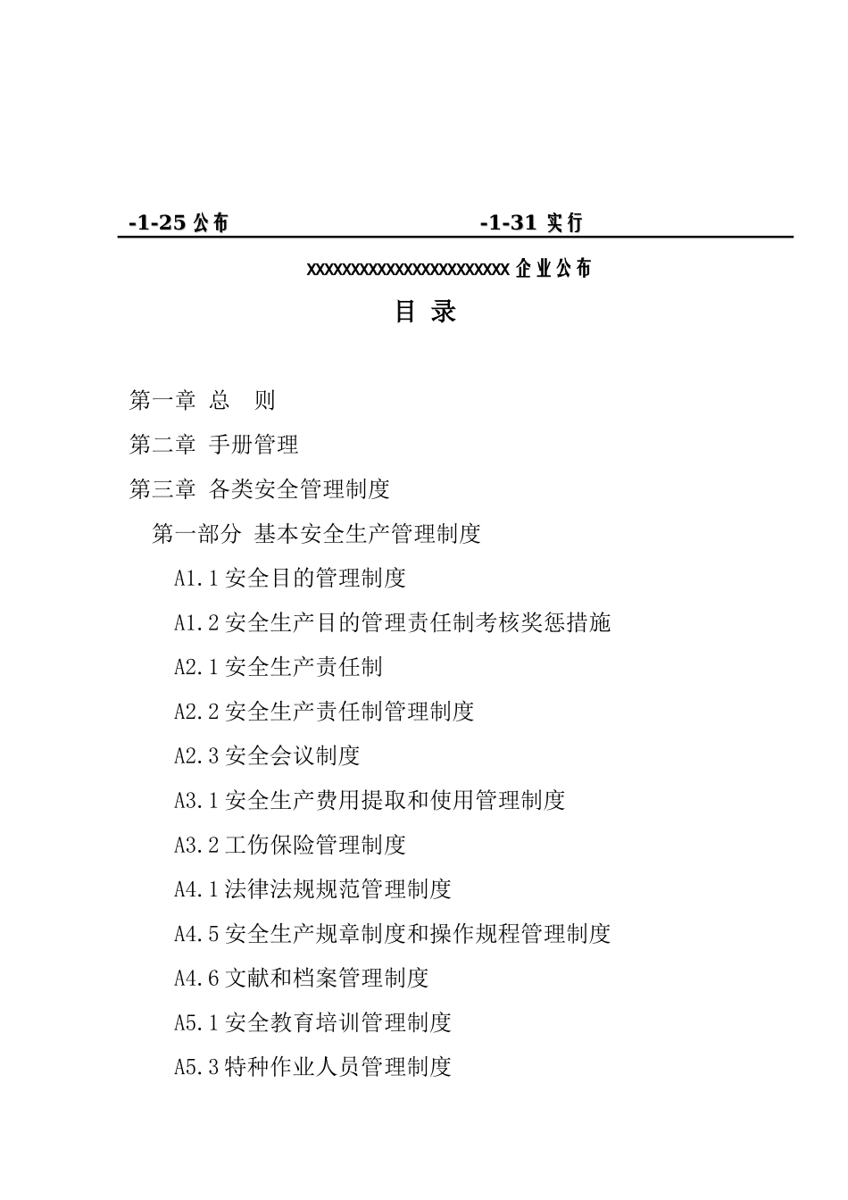 2025年安全生产标准化管理手册全套_第2页