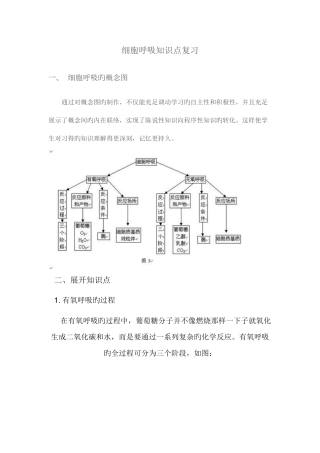 2025年细胞呼吸知识点复习及答案