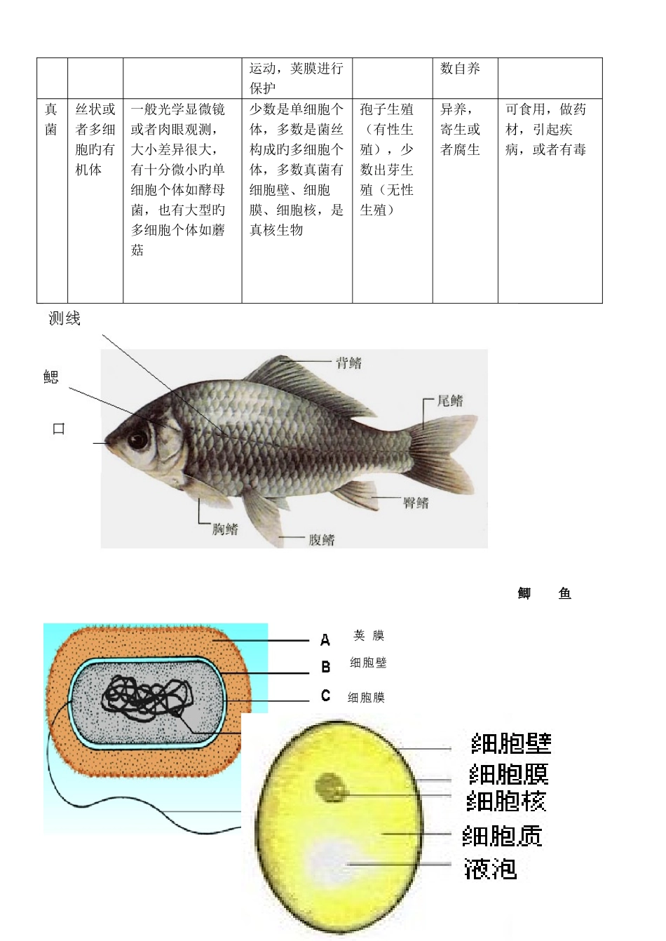 2025年苏教版八年级生物知识点汇总_第3页