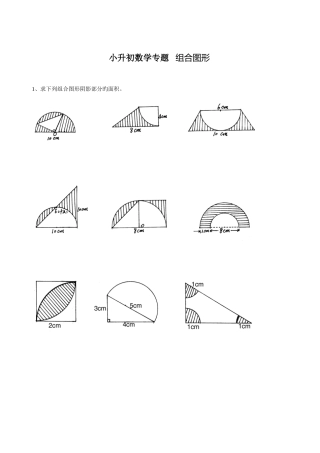 2025年苏教版小升初数学总复习试题组合图形