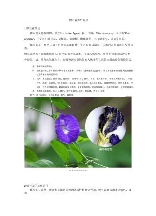 浅析蝶豆花(蓝蝴蝶)的食用价值及营养功效和作用