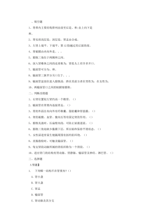 第四章 人体解剖学泌尿系统练习题及答案