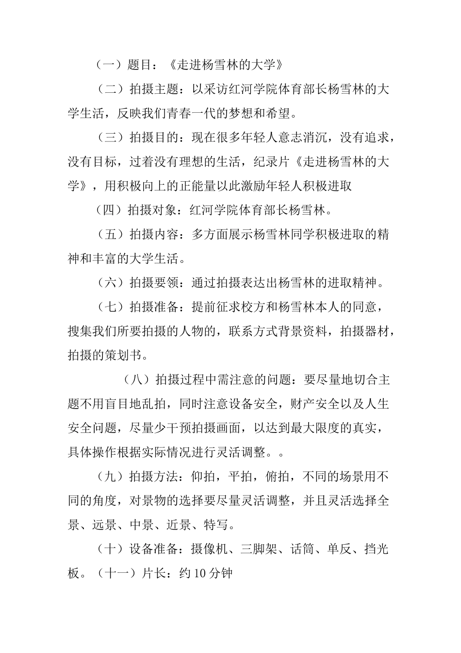 标准mv拍摄策划书_第3页