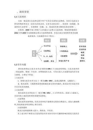 污泥干化调研报告