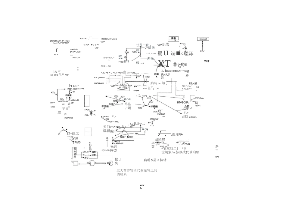 生物化学中三大物质代谢联系图-精选._第3页