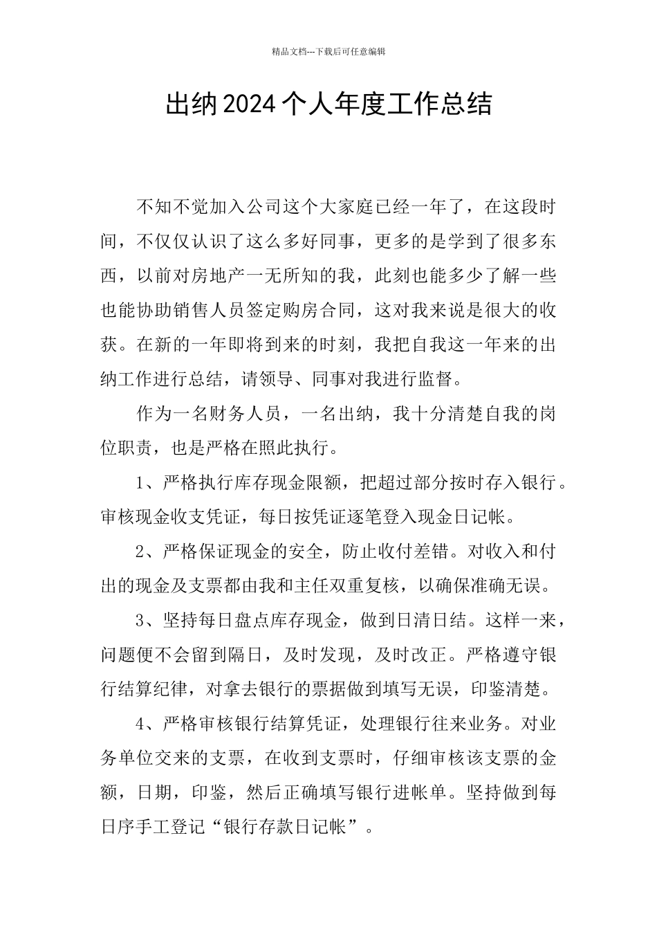 出纳2024个人年度工作总结_第1页