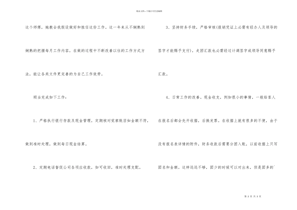 出纳2024年度工作总结_第2页
