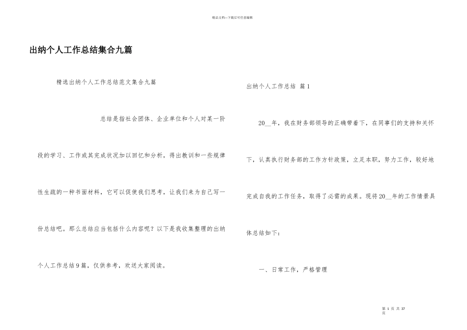 出纳个人工作总结集合九篇_第1页