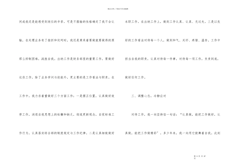 出纳个人工作总结集合九篇_第3页