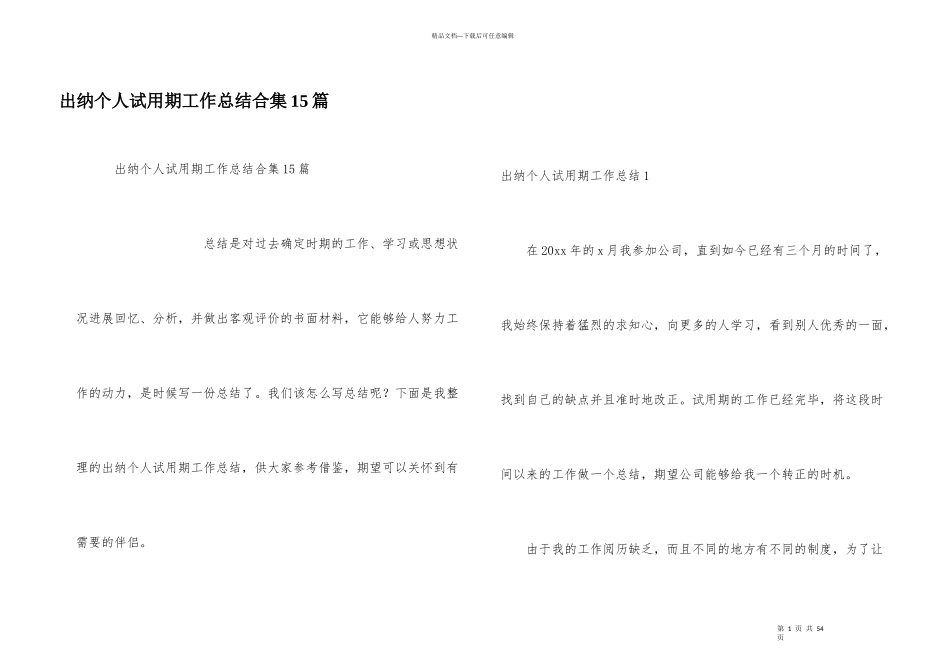 出纳个人试用期工作总结合集15篇_第1页