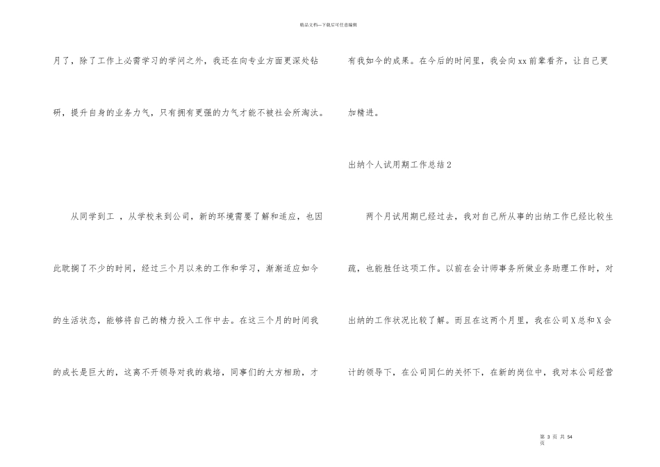 出纳个人试用期工作总结合集15篇_第3页
